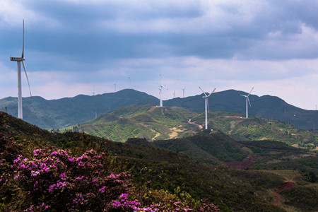 DSC_2499磨豆山风光Y.jpg