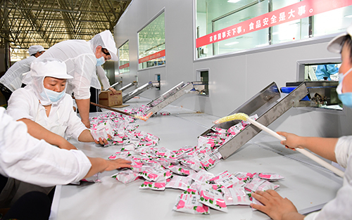 绿色食品加工忙 带动就业促增收.jpg