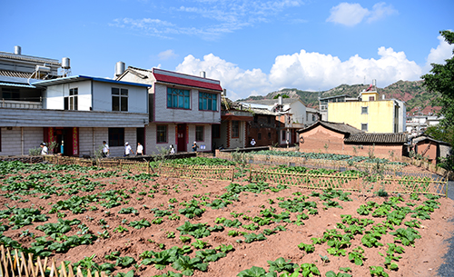“以工代赈”惠民生美乡村.jpg