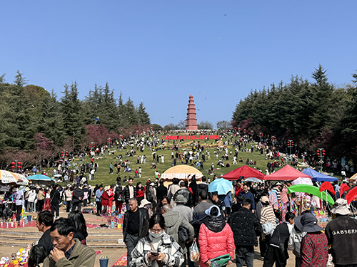 春节期间全区接待游客87.49万人次.jpg