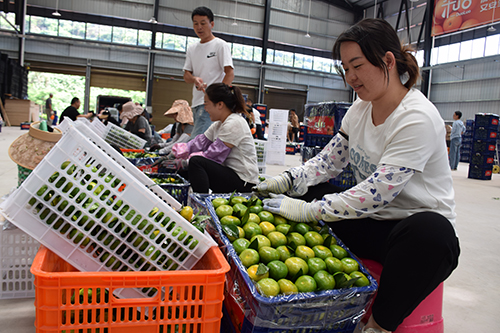 打造劳务“金名片”捧起增收“金饭碗”.jpg